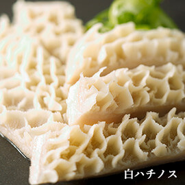 白ハチノス